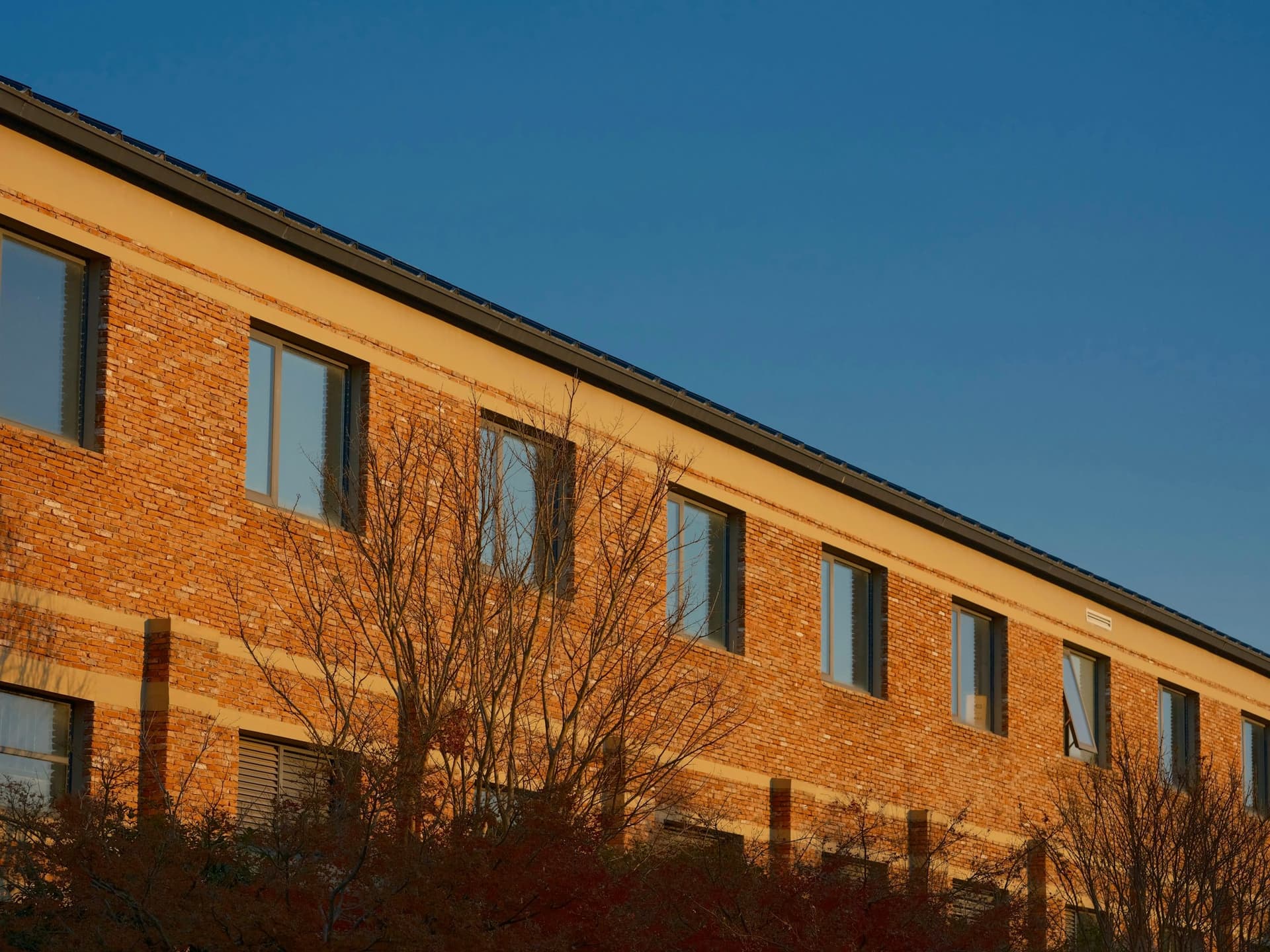 10-Hole Pressed Bricks — view 2