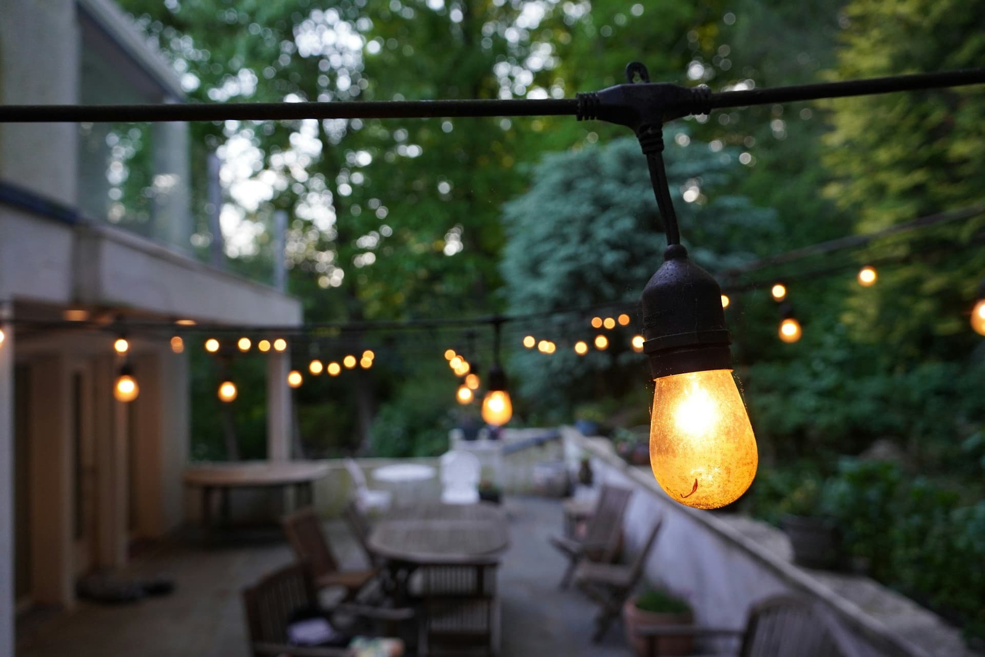 String & Ambient Lights