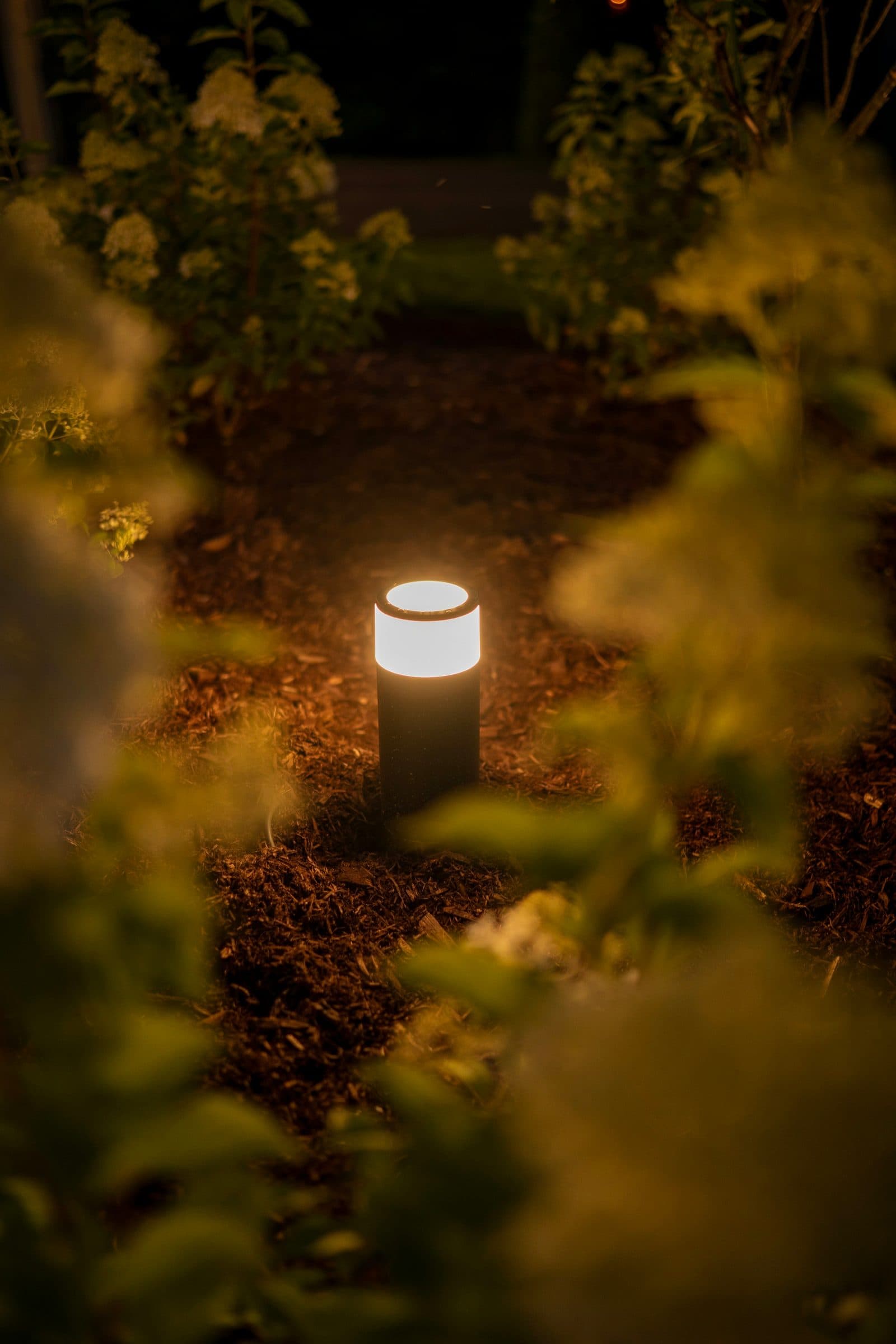 Bollard Lights — view 1