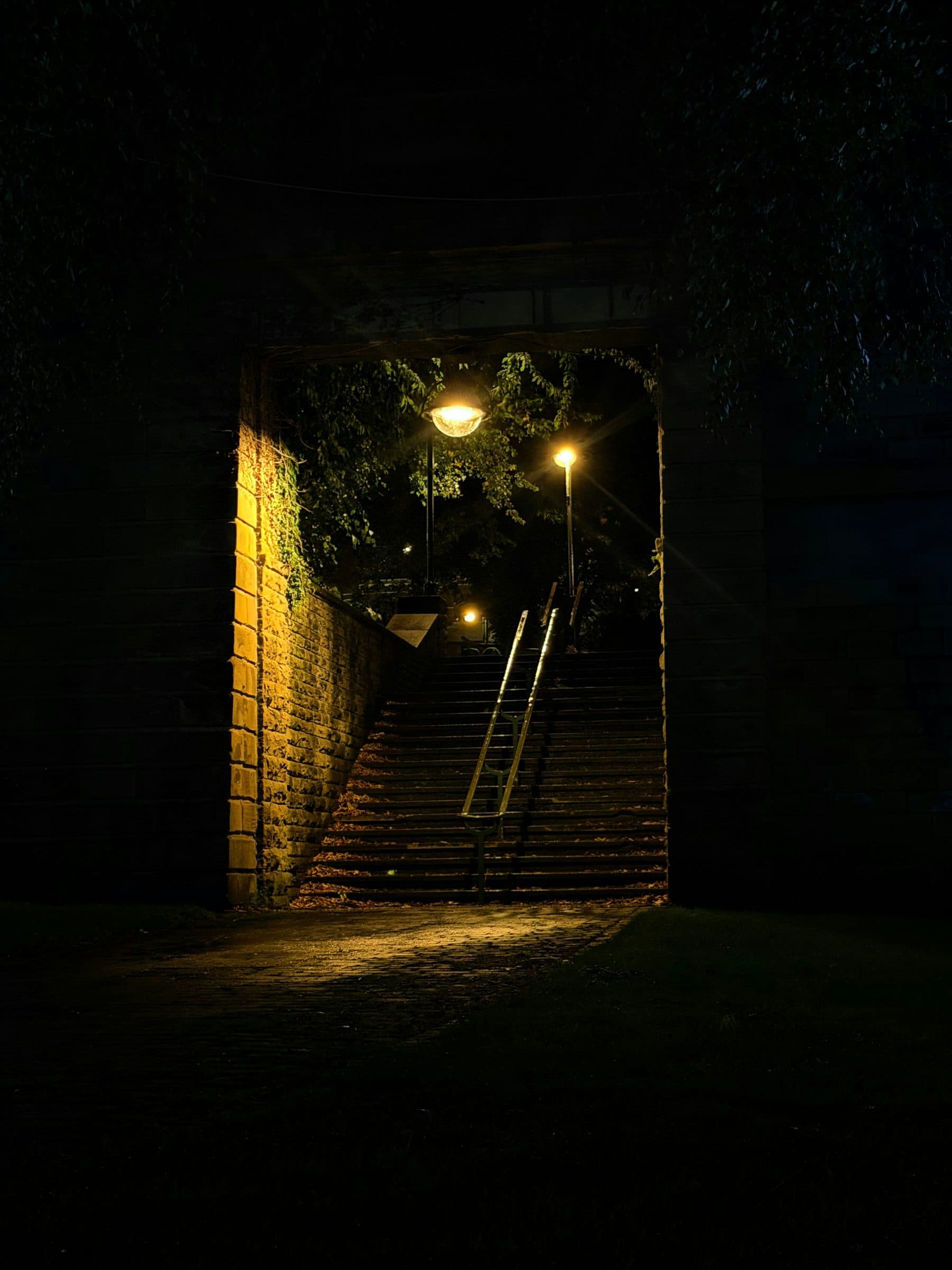 Path & Step Lights — view 2