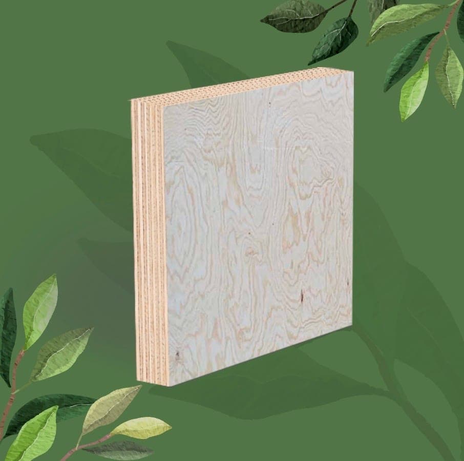 Plywood — view 2