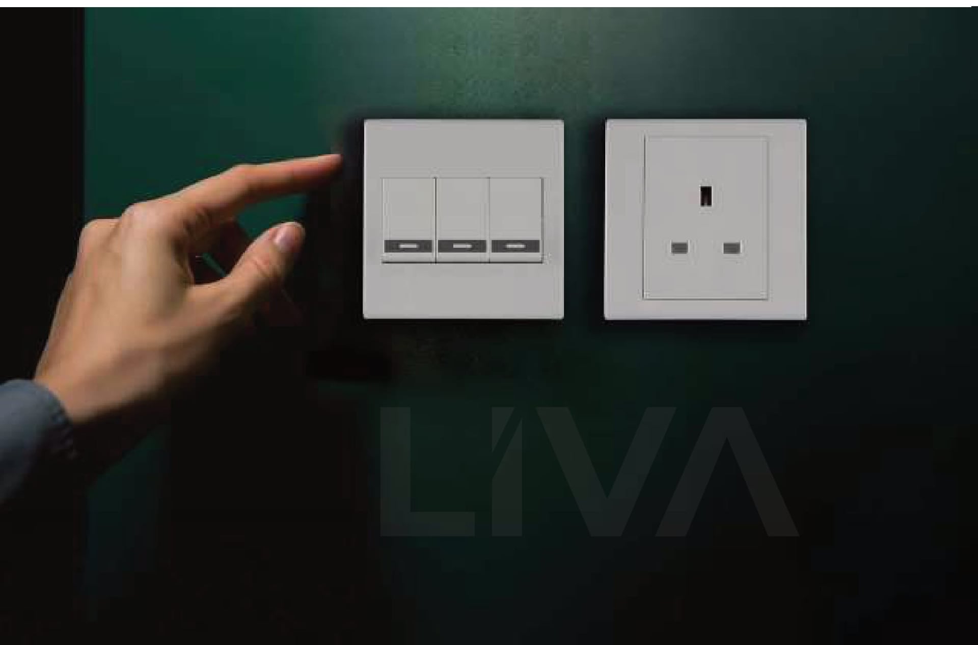 Liva